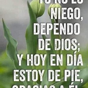 Meet your Posher, Camila